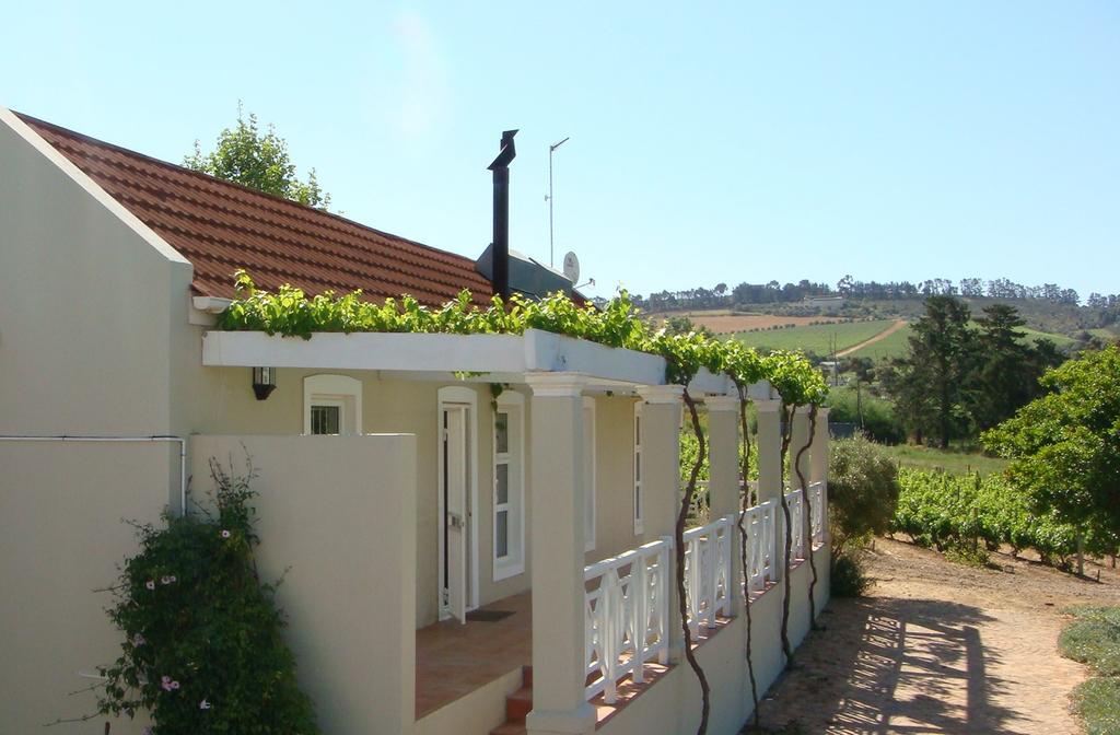 Clos Malverne Wine Estate Stellenbosch Exterior foto