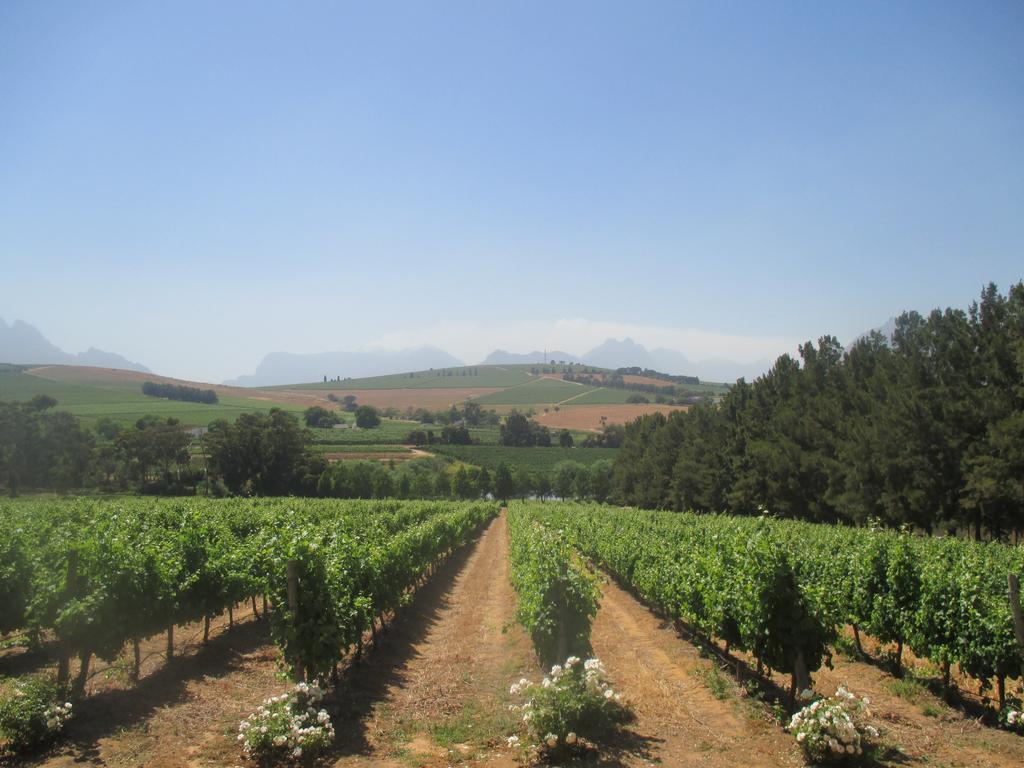 Clos Malverne Wine Estate Stellenbosch Exterior foto
